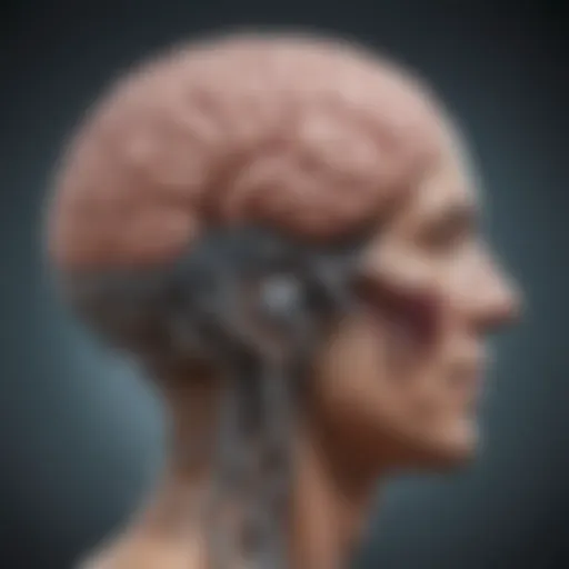 An intricate brain illustration showcasing emotional pathways