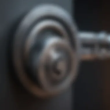 Data Security Measures Illustration depicting a secure lock protecting data