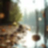 A peaceful nature scene promoting tranquility and self-reflection