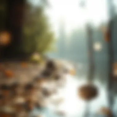 The Essence of Calmness A peaceful nature scene promoting tranquility and self-reflection