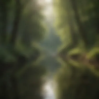 Embracing Nature's Calm Calming nature scene promoting tranquility and mindfulness