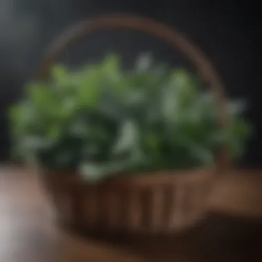Nutrient-Packed Dark Leafy Greens for Cognitive Function Dark leafy greens in a rustic basket