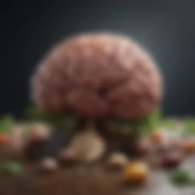 Optimizing Brain Health Through Nutrition Brain Boosting Nutrition