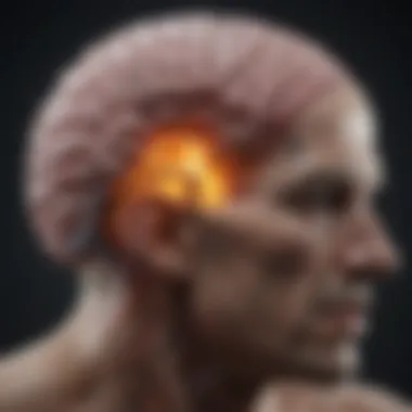 Neurological Impact Brain scan showing stress response