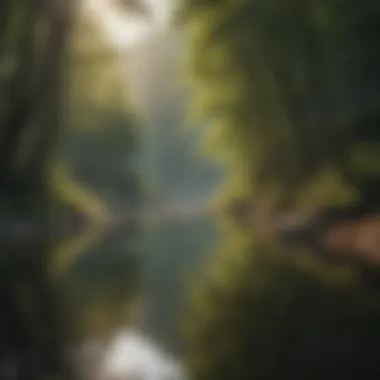 Tranquility in Nature A serene landscape reflecting tranquility and mindfulness