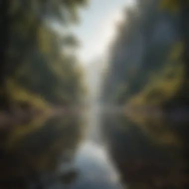 A Journey Within: Finding Clarity A serene landscape symbolizing inner peace and reflection.