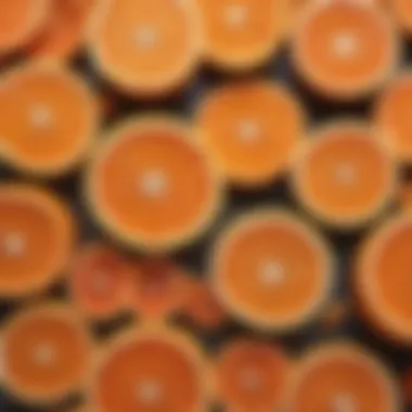 Vibrant Citrus Fruits Vibrant Citrus Fruits