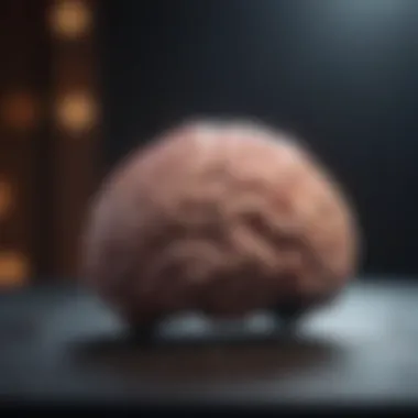 Brain Teasers for Cognitive Enhancement Enhancing Cognitive Performance with Brain Teasers