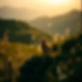 Finding Tranquility in Nature A serene landscape reflecting inner peace