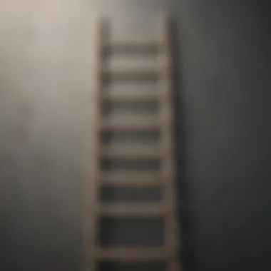 Visual metaphor of a ladder symbolizing continuous improvement