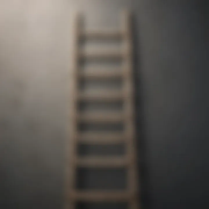 Visual metaphor of a ladder symbolizing continuous improvement