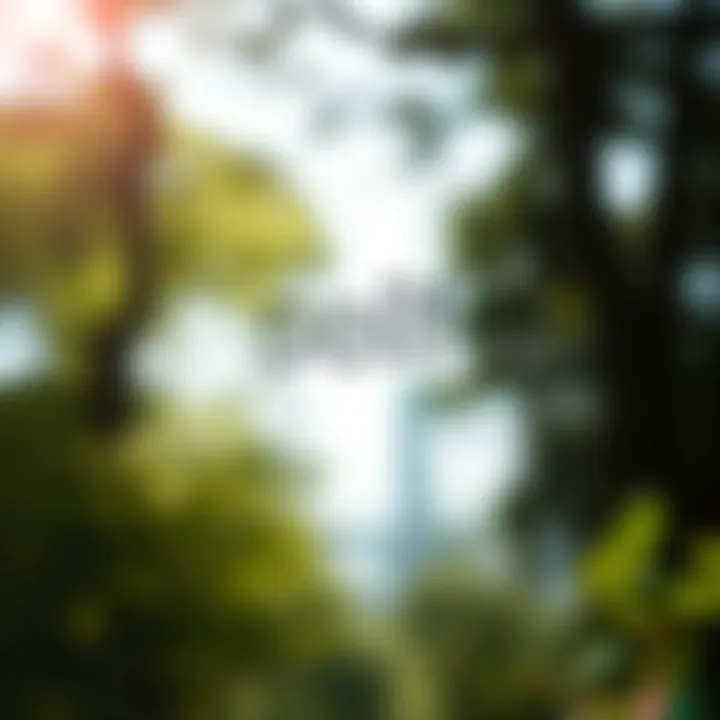 Symbolic representation of self-assessment