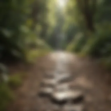 Pathway to Professional Growth Illustration of personal growth through evaluation