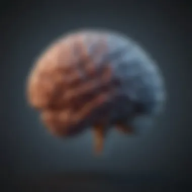 Neuropsychological Framework of Thoughts A brain illustration depicting neuropsychological frameworks.