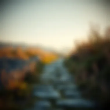 A symbolic pathway leading to self-discovery