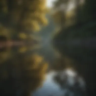 Tranquil Reflections A serene landscape reflecting tranquility and self-discovery