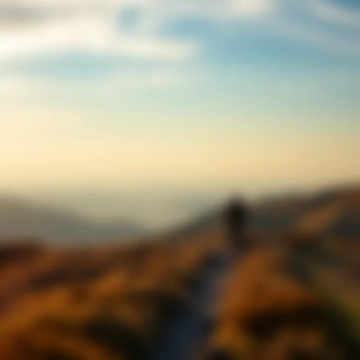 A serene landscape symbolizing a journey towards self-discovery
