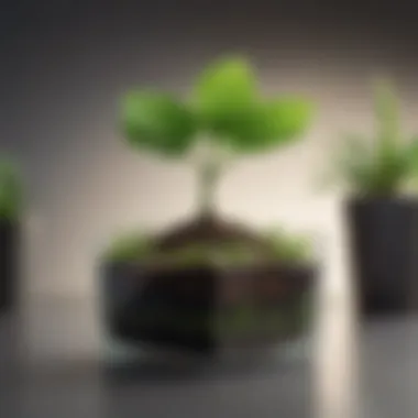 Cultivating Growth and Well-being Illustration depicting a flourishing plant symbolizing growth and well-being