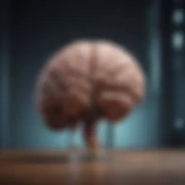 Enhancing Brain Nourishment Brain Nourishment Concept