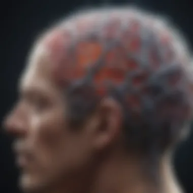Exploring Neural Connections in Neuroplasticity Brain with neural connections highlighted