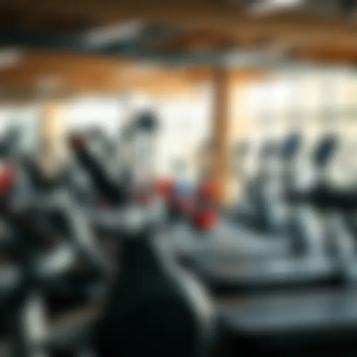 Diverse Exercise Equipment for All Fitness Levels A vibrant gym filled with diverse exercise equipment