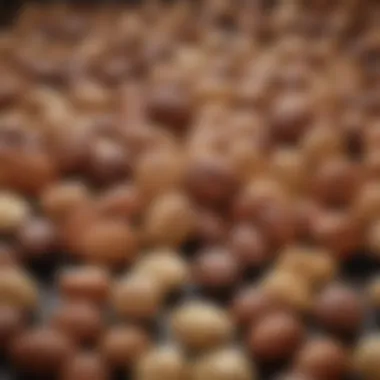 Healthy Fats from Nuts and Seeds An artistic display of various nuts and seeds rich in healthy fats.
