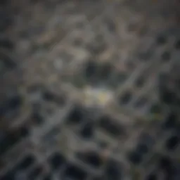 Maze of Career Choices
