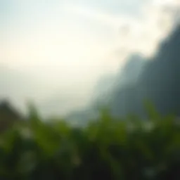 A serene landscape symbolizing gratitude
