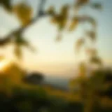 A serene landscape representing tranquility and reflection