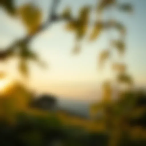 A serene landscape representing tranquility and reflection