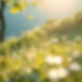 A serene landscape depicting wellness