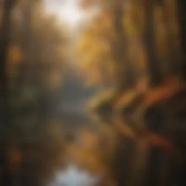 Harmony in Nature Harmony in Nature: Reflecting the peaceful essence of gratitude in everyday life