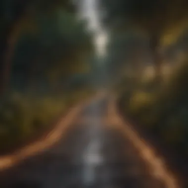 Illuminating Pathways Illuminating Pathways: A visual representation of gratitude leading to enlightenment