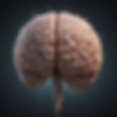 An abstract illustration of a brain with positive thoughts flowing