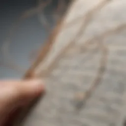 Abstract thoughts depicted through tangled threads of journaling