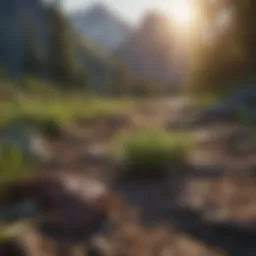 A serene landscape symbolizing new beginnings
