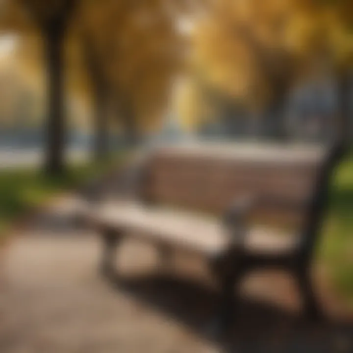 Empty park bench symbolizing loneliness