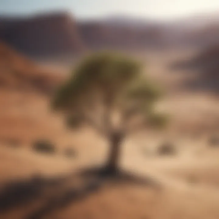 Lonely tree standing in a vast desert landscape