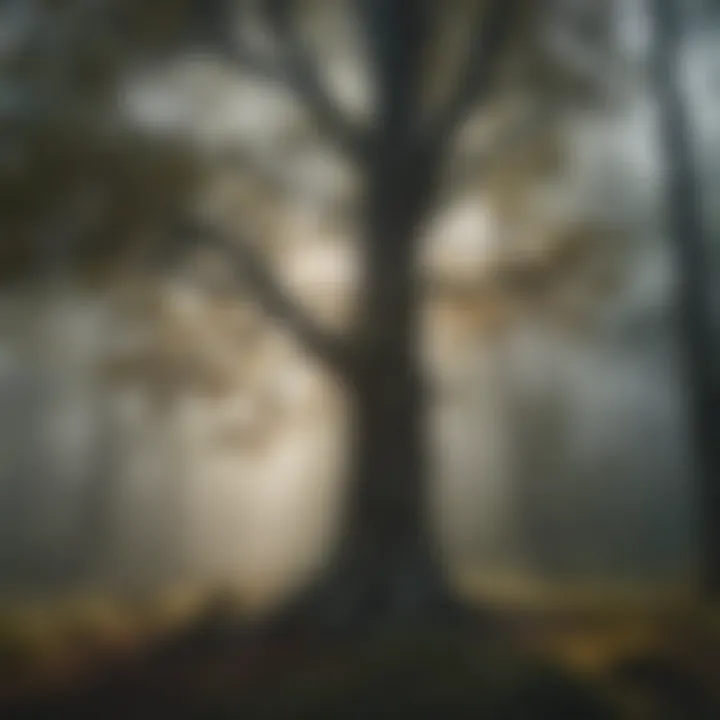 Lonely tree in a misty forest symbolizing solitude