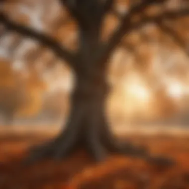 Majestic oak tree shedding autumn leaves with a backdrop of a setting sun