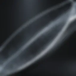 Crafting Dynamic Slide Structures without Overloading Information