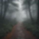 Mystical fog enveloping a mysterious path