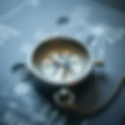 A compass symbolizing direction in career choices