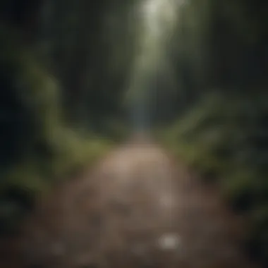 Path of Uncertainty A dimly lit path representing feelings of being lost