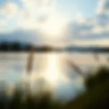 A serene landscape reflecting clarity and focus