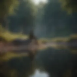 A person reflecting in solitude amidst a serene landscape