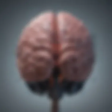 Neuroscientific Brain Activity Neuroscientific visualization of brain activity while listening to music