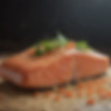 Salmon Symphony Salmon Fillet on a Bed of Quinoa