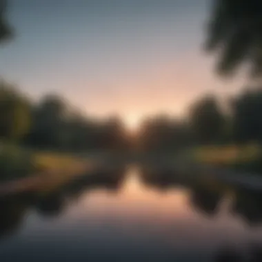Reflection Pond Reflection Pond: Contemplation for Self-Acceptance