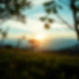 A serene landscape symbolizing calmness amidst chaos